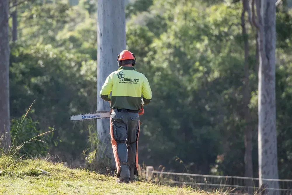 Arborist in Orange Helmet and Safety Vest — Brown's Professional Tree Service in Pie Creek, QLD
