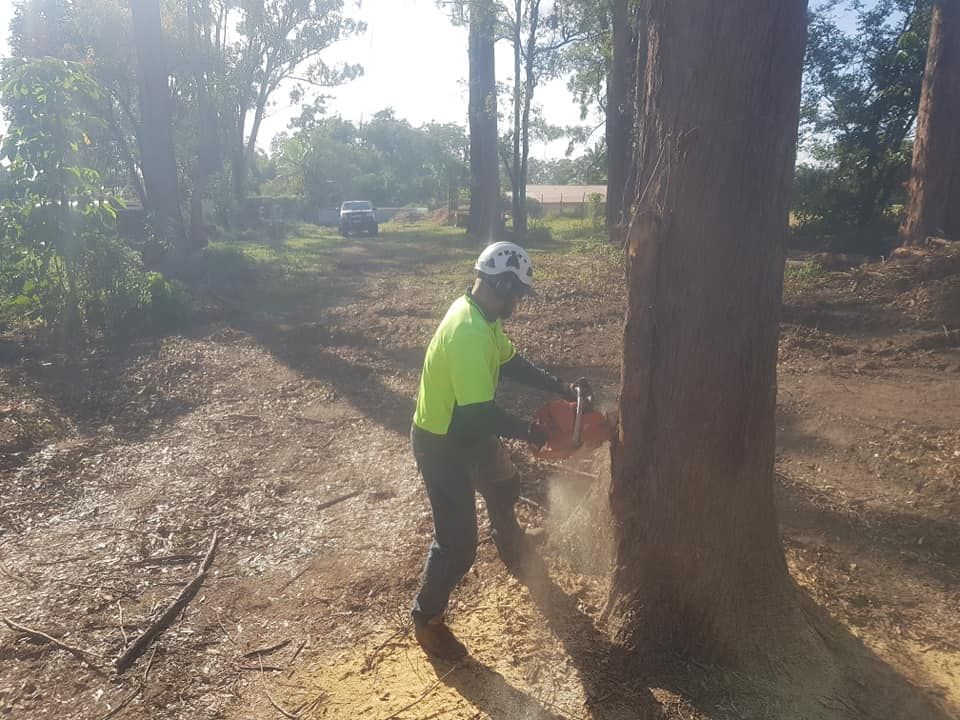 Person in Safety Gear Using a Chainsaw to Cut a Tree Trunk Outdoors — Brown's Professional Tree Service in Traveston, QLD