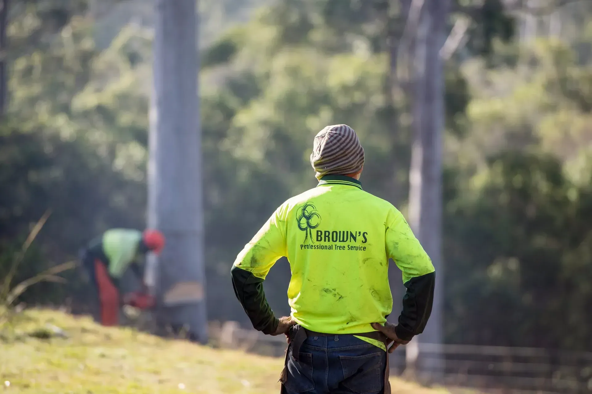 Arborist Wearing a Bright Yellow Shirt Watches a Colleague Using a Chainsaw Near Trees — Brown's Professional Tree Service in Widgee, QLD