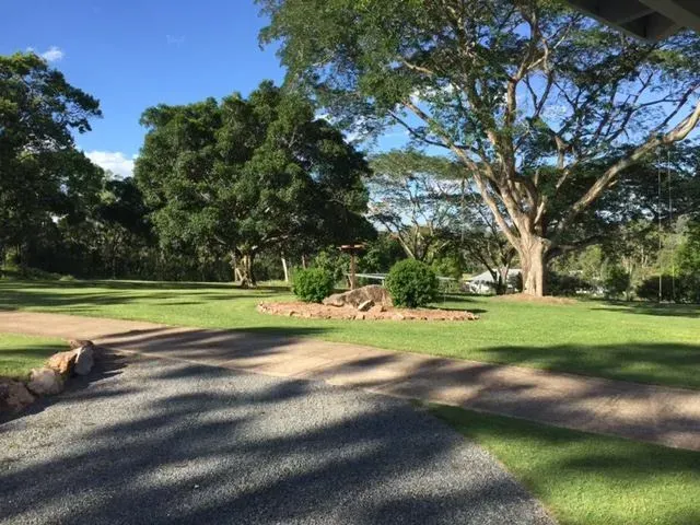 Gravel Driveway Leads to A Grassy Yard — Brown's Professional Tree Service In Pie Creek, QLD