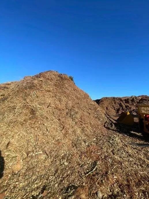 Large Pile of Wood Chips Under a Clear Blue Sky — Brown's Professional Tree Service In Pie Creek, QLD