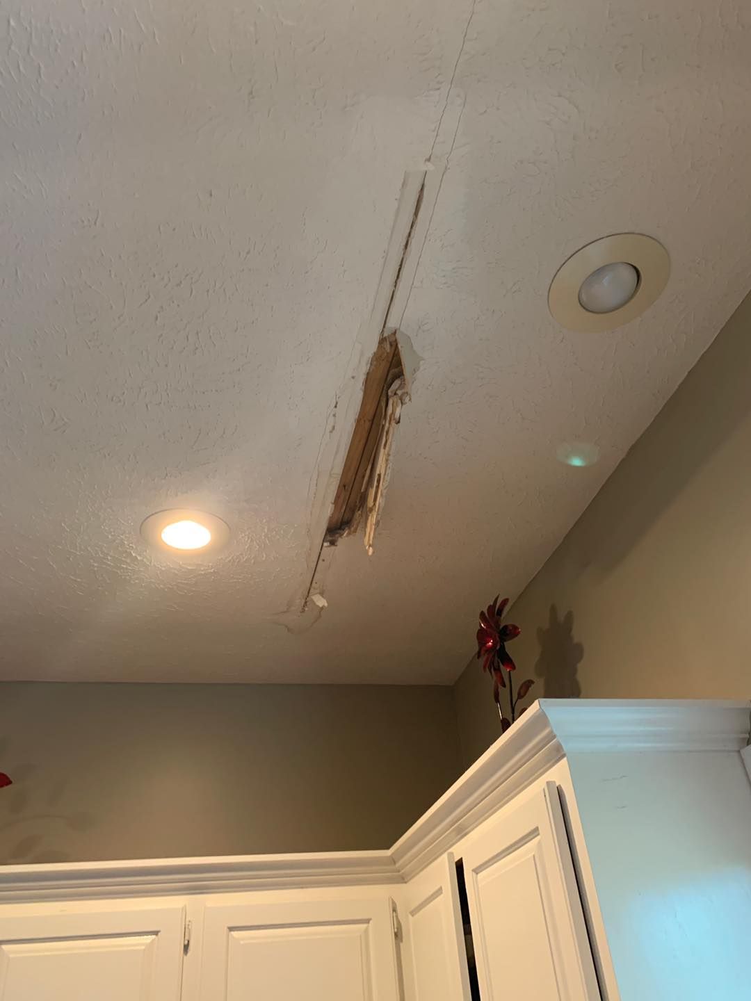 There is a hole in the ceiling in the kitchen.