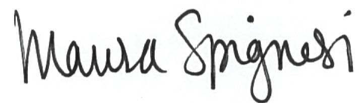 a close up of a handwritten signature on a white background .
