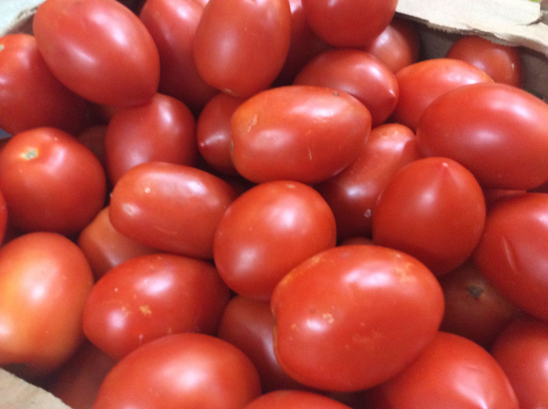 Pile of red plum tomatoes.