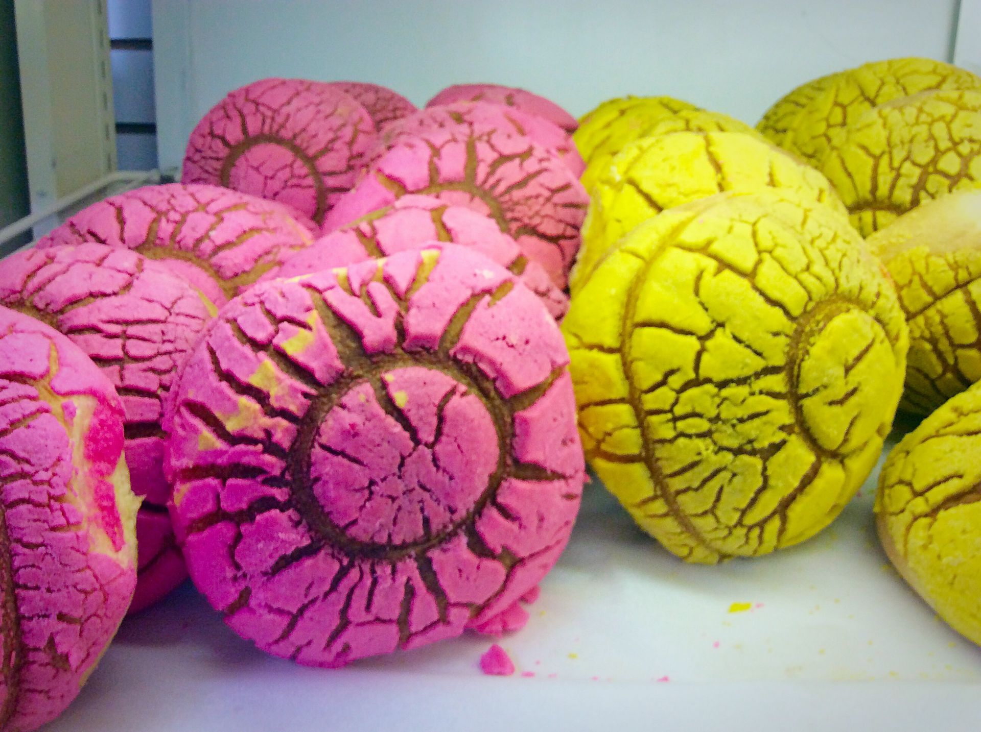 Pink and yellow conchas, traditional Mexican sweet bread, in a bakery display.