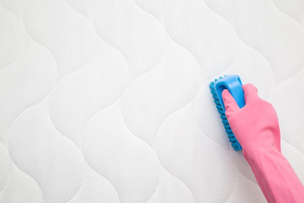 A Person Wearing A Pink Glove Is Cleaning A Mattress — Amy's Domestic Agency In Pimlico, QLD