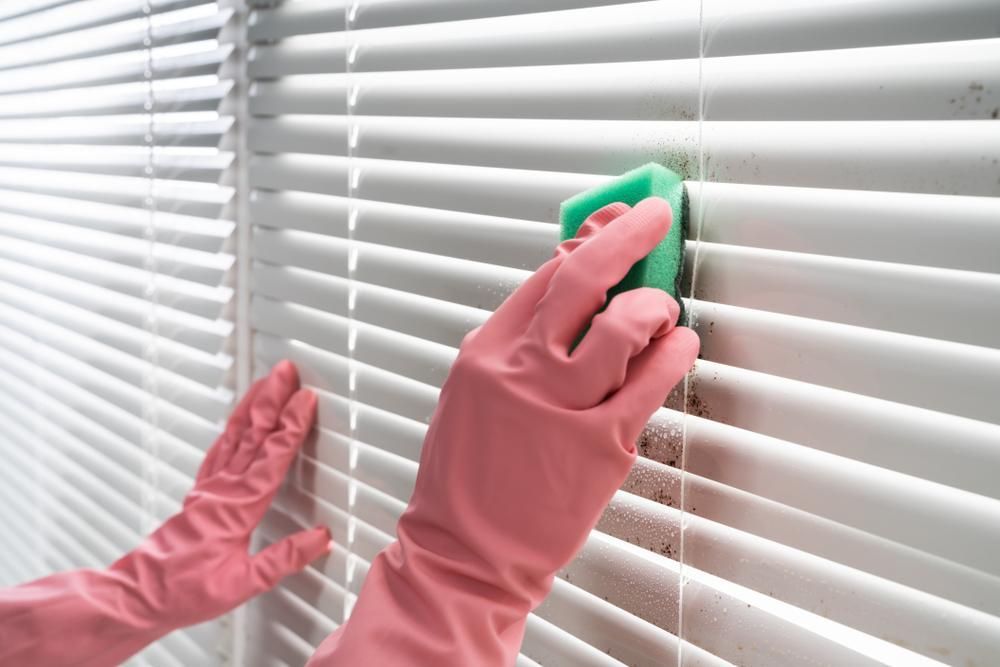 A Person Wearing Pink Gloves Is Cleaning Blinds — Amy's Domestic Agency In Pimlico, QLD