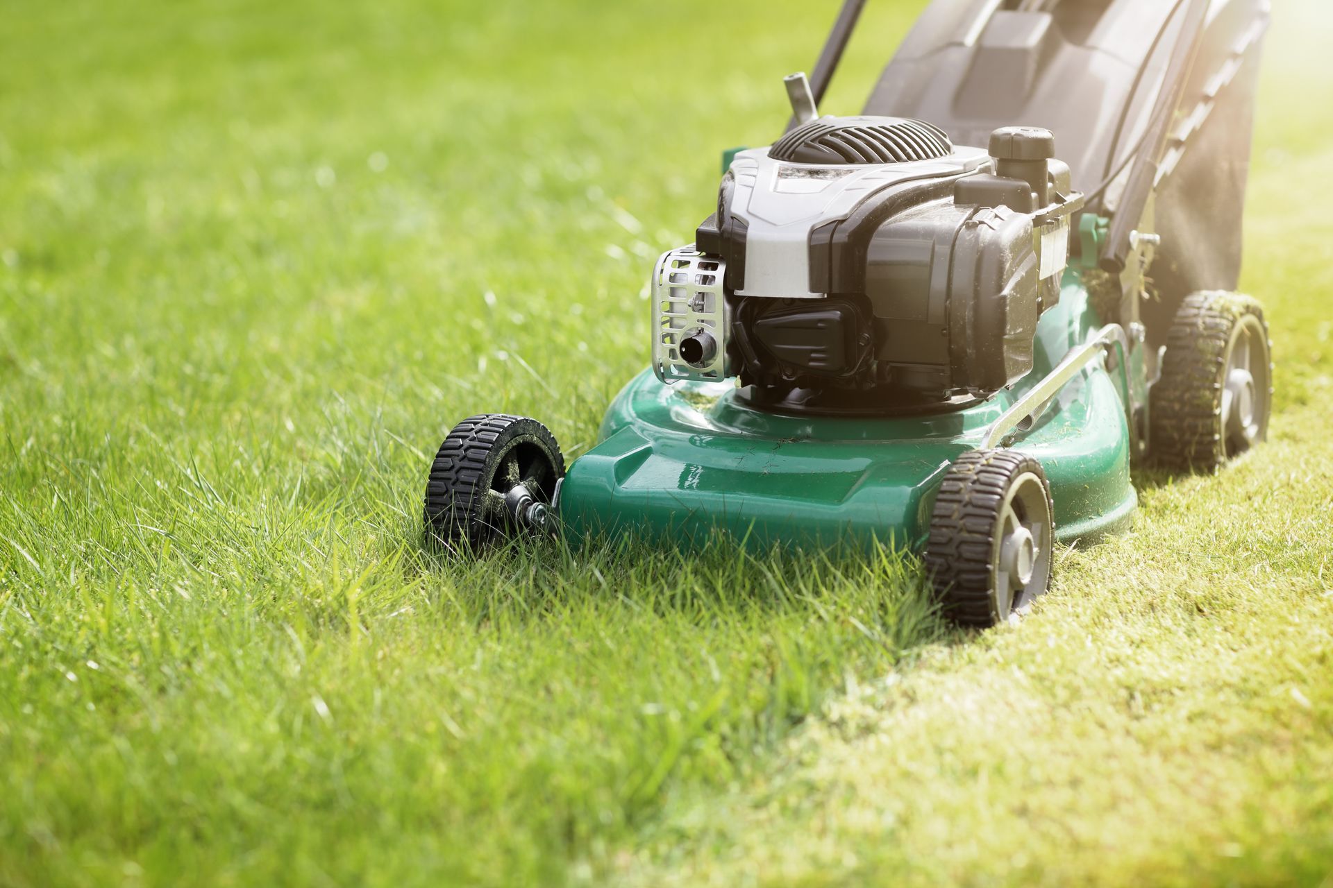 Push lawn mower cutting green grass in a sunny yard