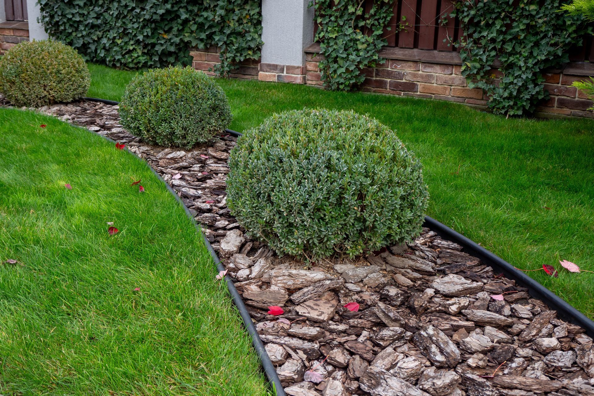 Landscaped front yard with green shrubs and a stone mulch path bordered by grass