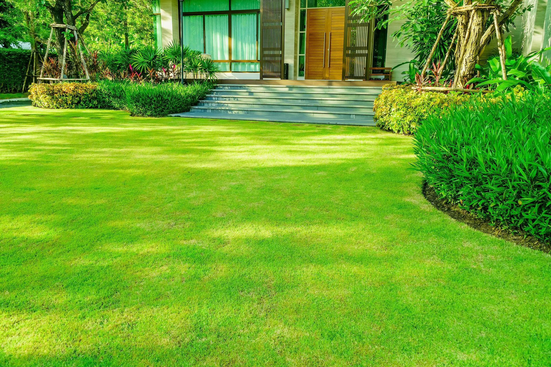 Bright green lawn leading to a house entrance with shrubs and stone steps.