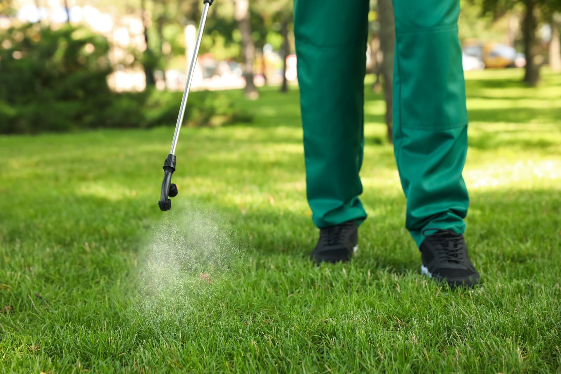 Person spraying water on green lawn with a hose nozzle