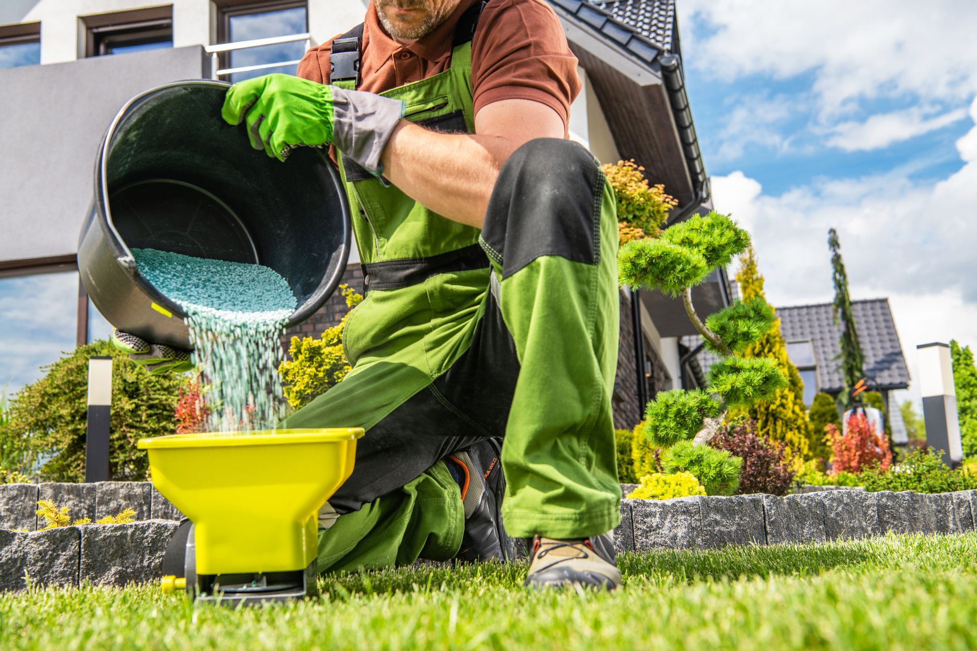 Gardener pouring liquid fertilizer from a bucket into a yellow spreader on a lawn