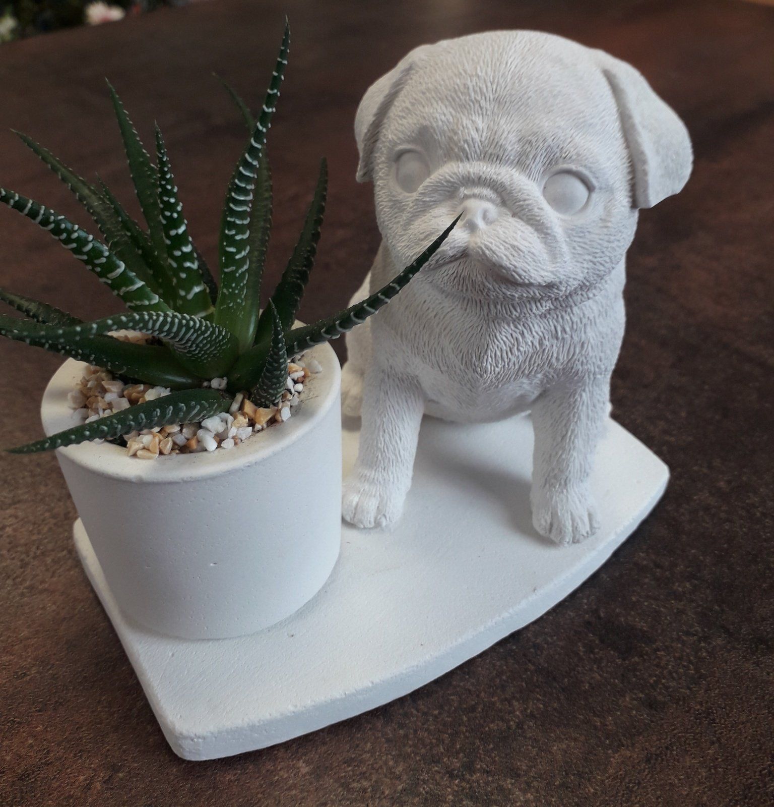 piantina in vaso con cagnolino bianco