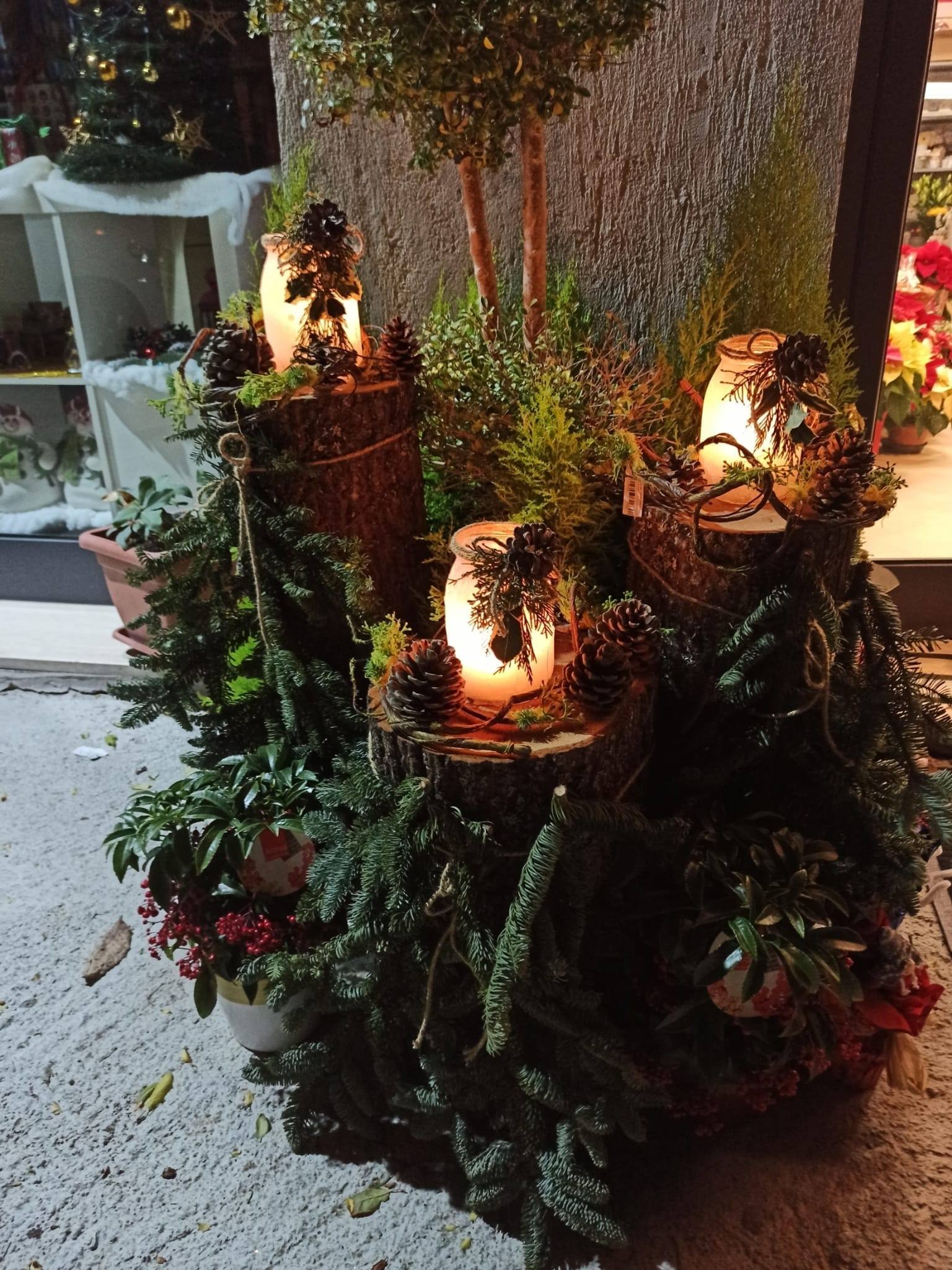 allestimento di piante da esterno con lanterne e pigne