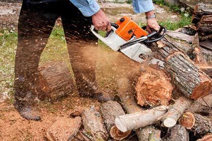 Firewood Cutting - Firewood services in Greenland, MA