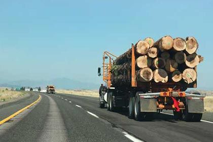 Log lengths firewood - Firewood services in Greenland, MA