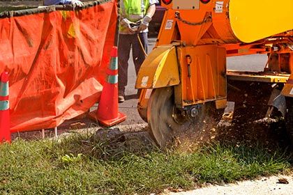 Stump grinding - Stump removal & grinding services in Greenfield, MA