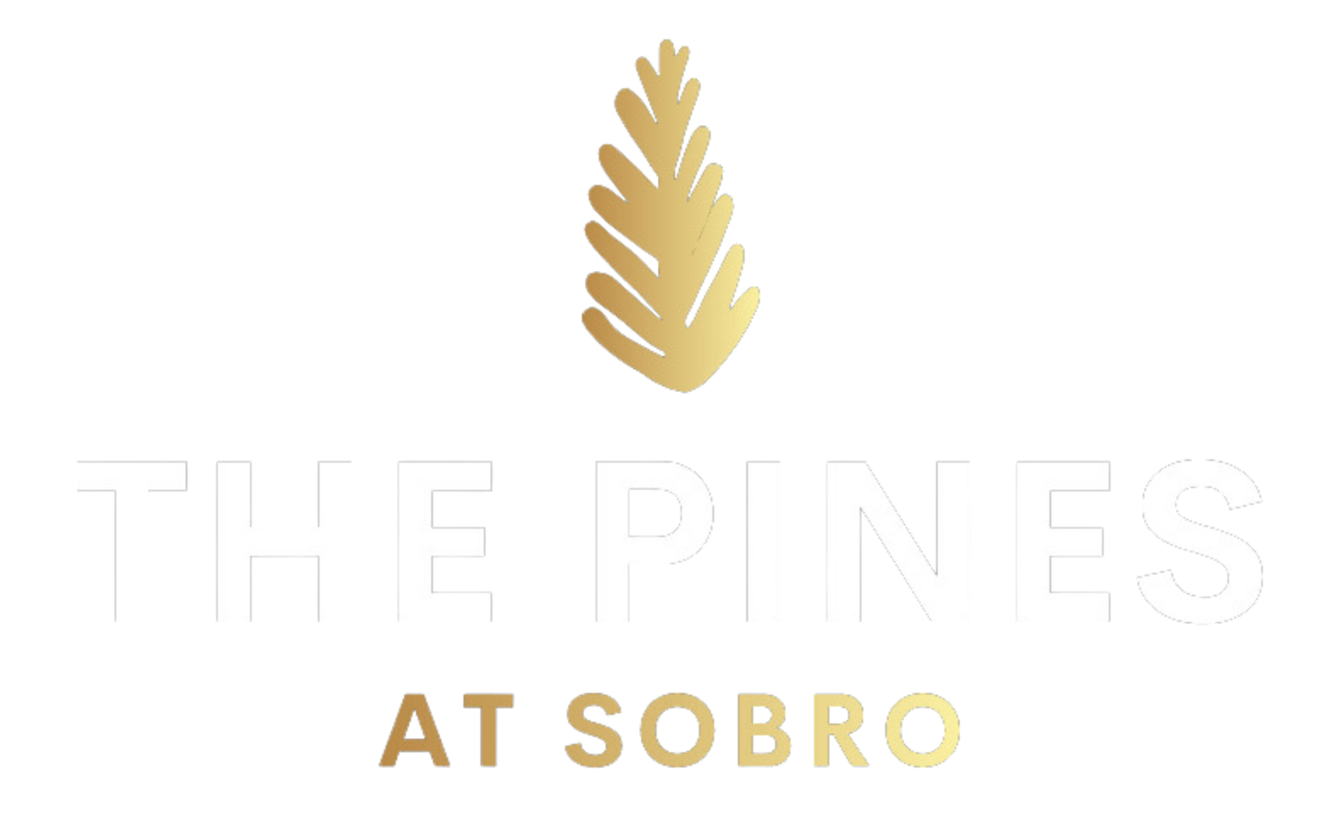The Pines at SoBro Logo - header, go to homepage