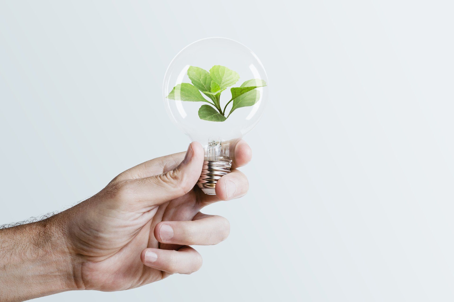 Ahorro de energía y protección UV Ahorro de energía y protección UV