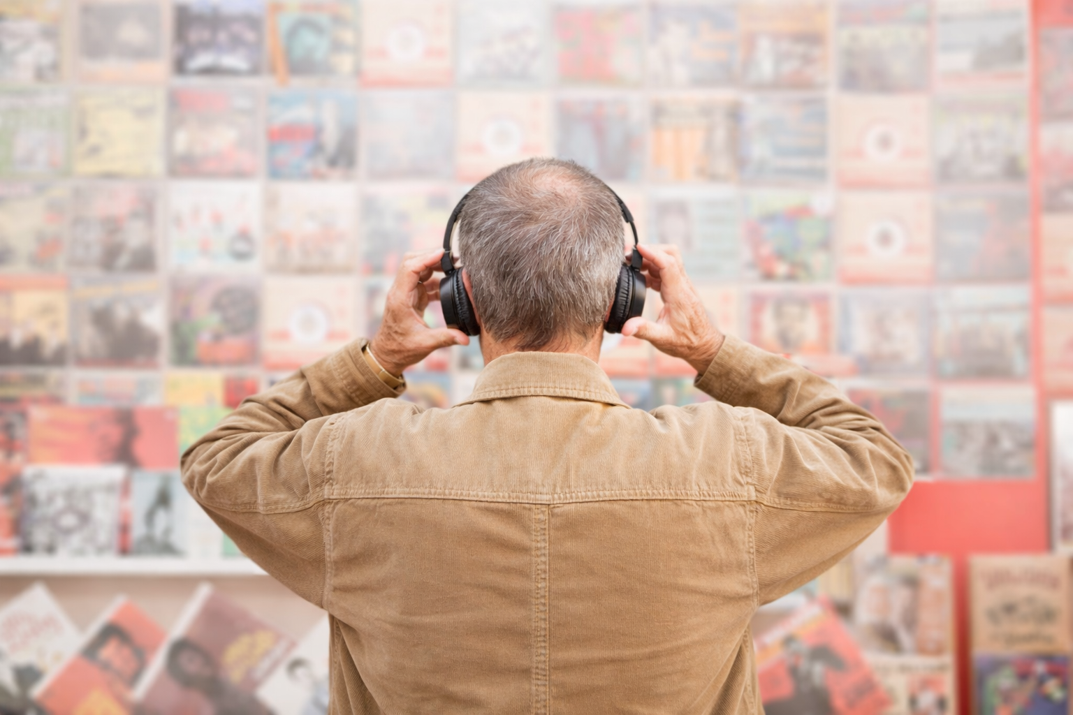 renta de locales en stripcenter