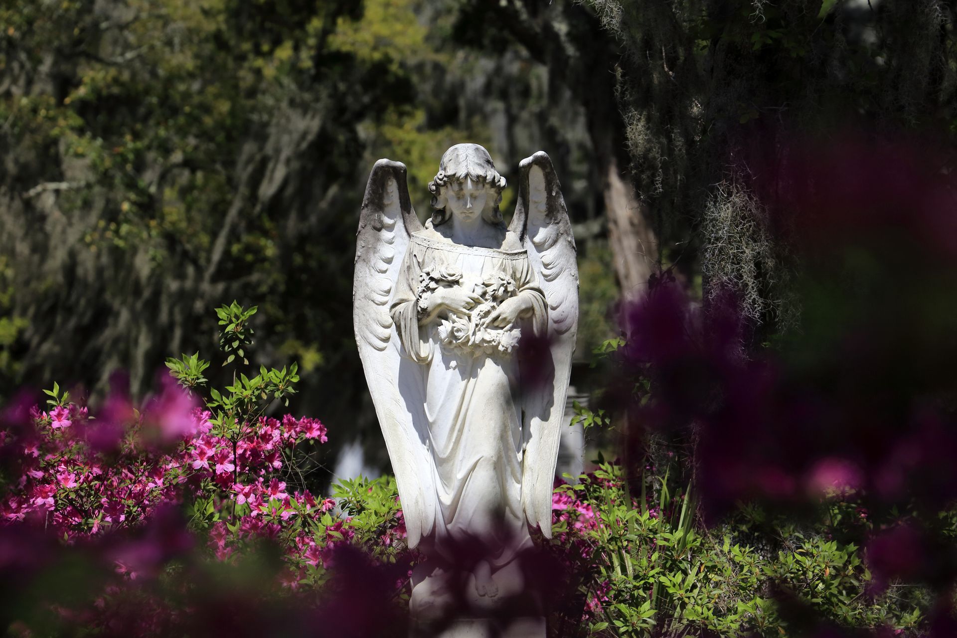 Lavori Cimiteriali a Cinisello Balsamo  - O.F. Borella
