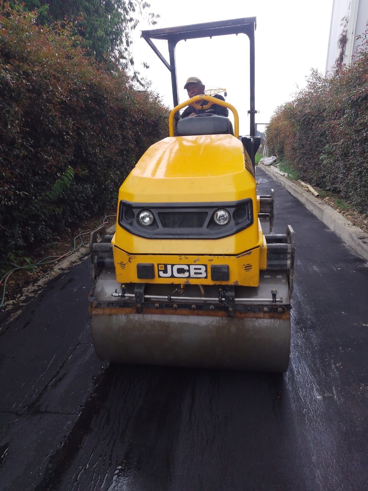 Una apisonadora amarilla JCB compacta asfalto negro recién colocado en una carretera estrecha con árboles a su lado.