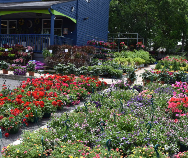 Garden Center - East Norriton, PA - Photo Gallery