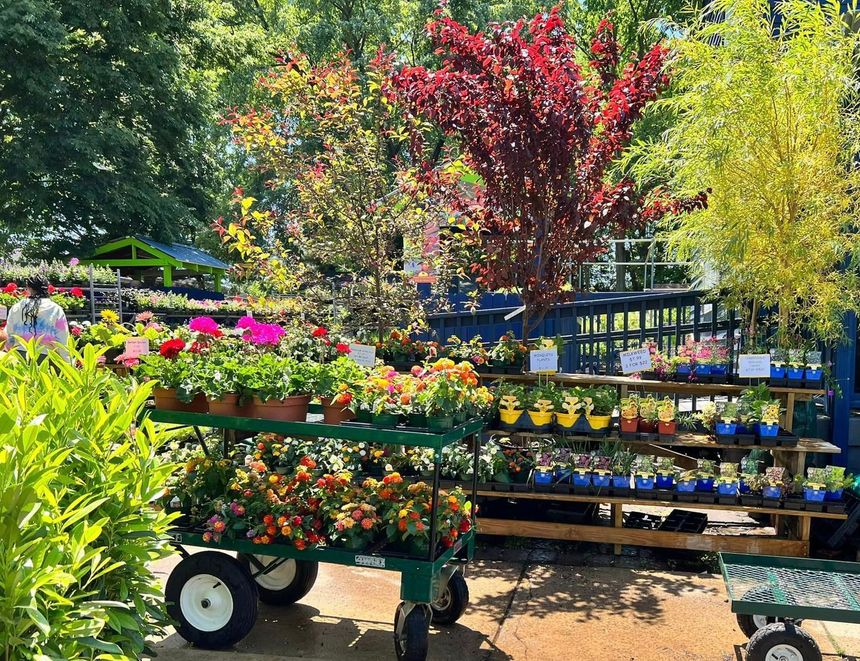 Garden Center, Gift Shop - East Norriton, PA