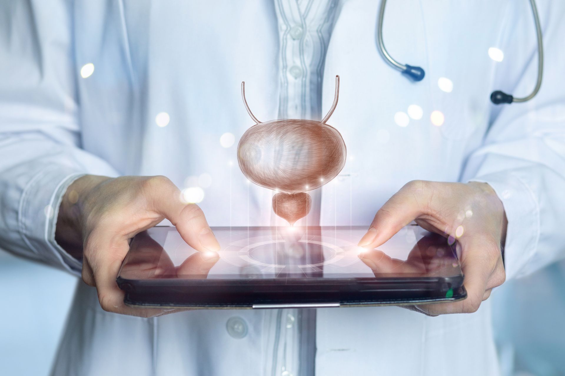Doctor shows bladder and prostate on tablet.