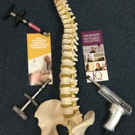 Dr Debbie Holding Skeleton — Chiropractic in Avoca, QLD