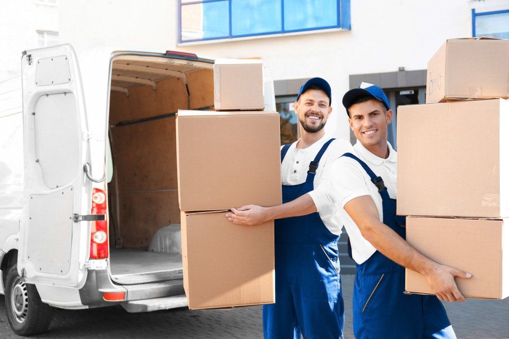 Two Guy Movers And Carrying Boxes — Removalists in Sunshine Coast