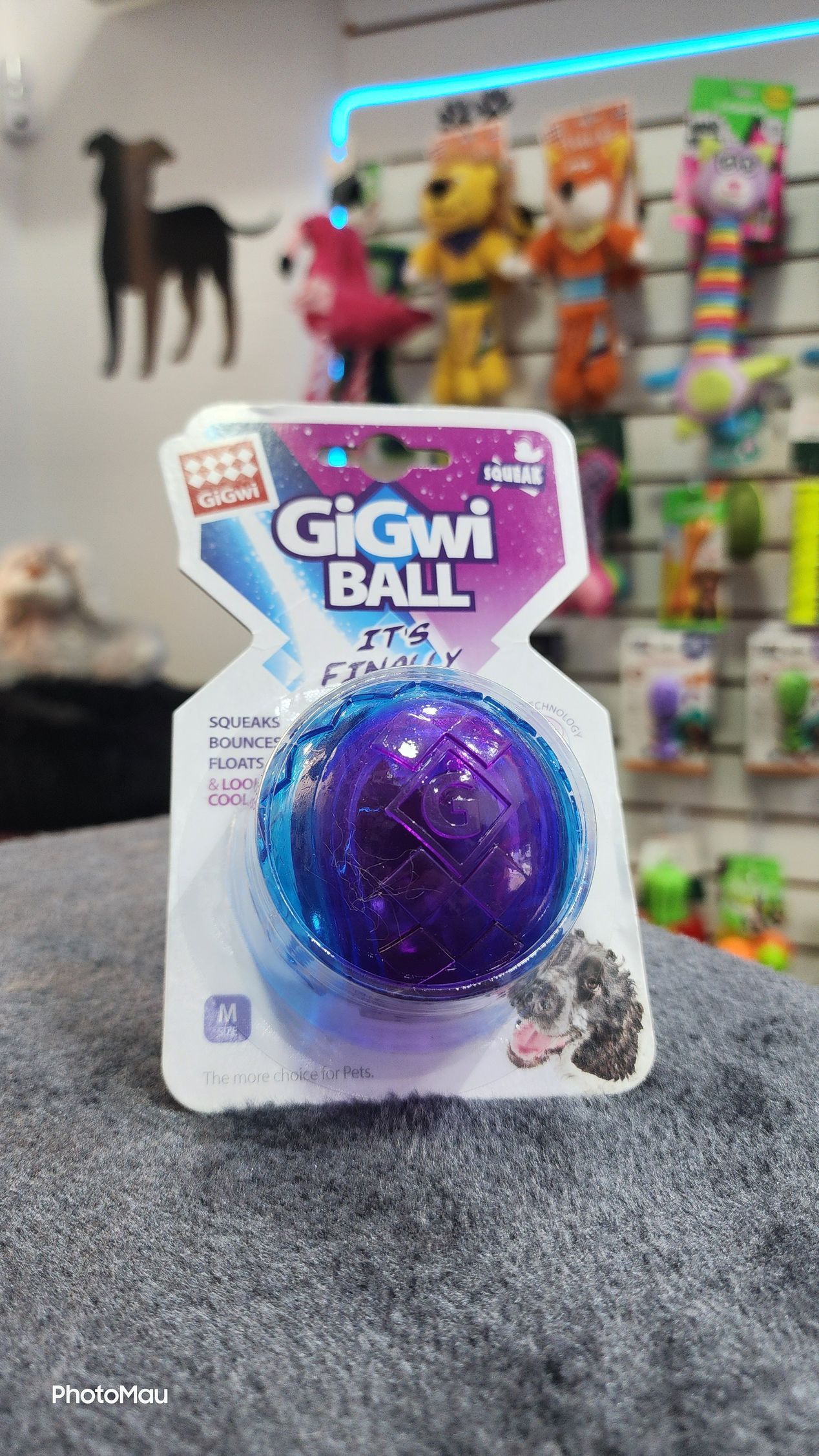 Pelota Squeaker Gigwi Ball