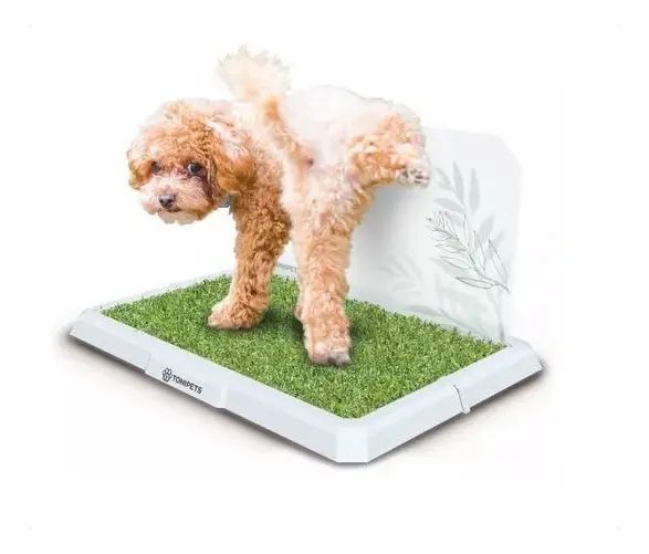 Bandeja sanitaria para perros Machos Tonipets Bandeja sanitaria tamaño M color blanco