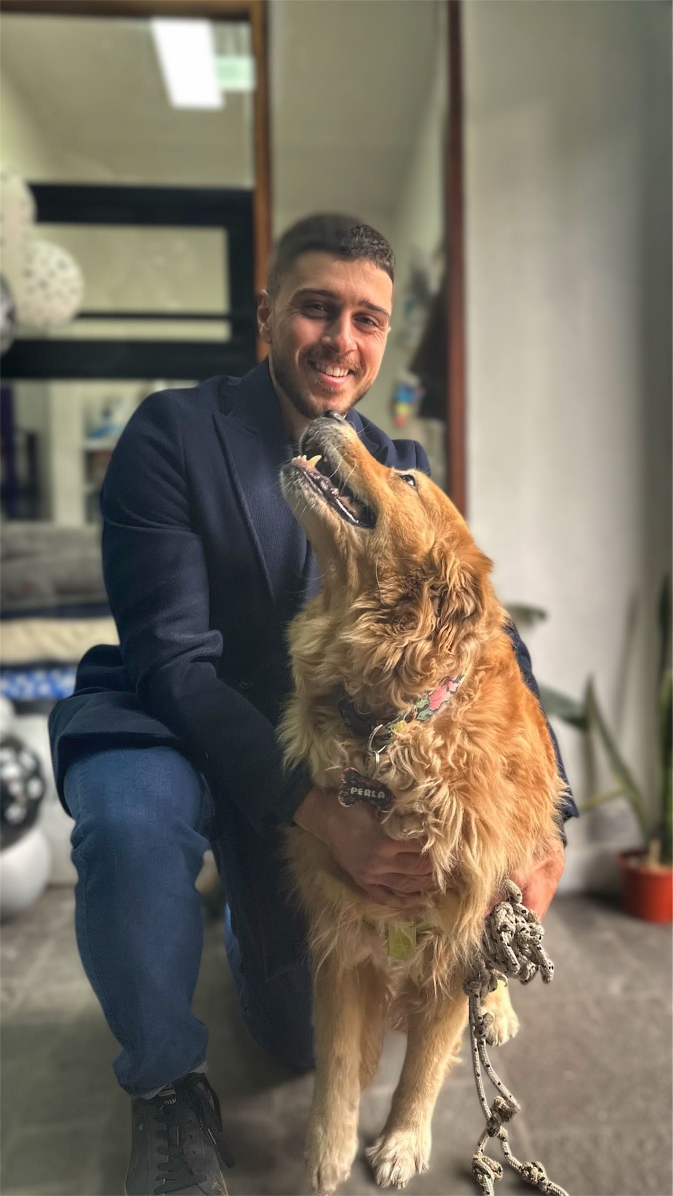 Cachorro Cavalier King Charles Spaniel con un suéter blanco con capucha y una etiqueta de identificación con huella de pata.