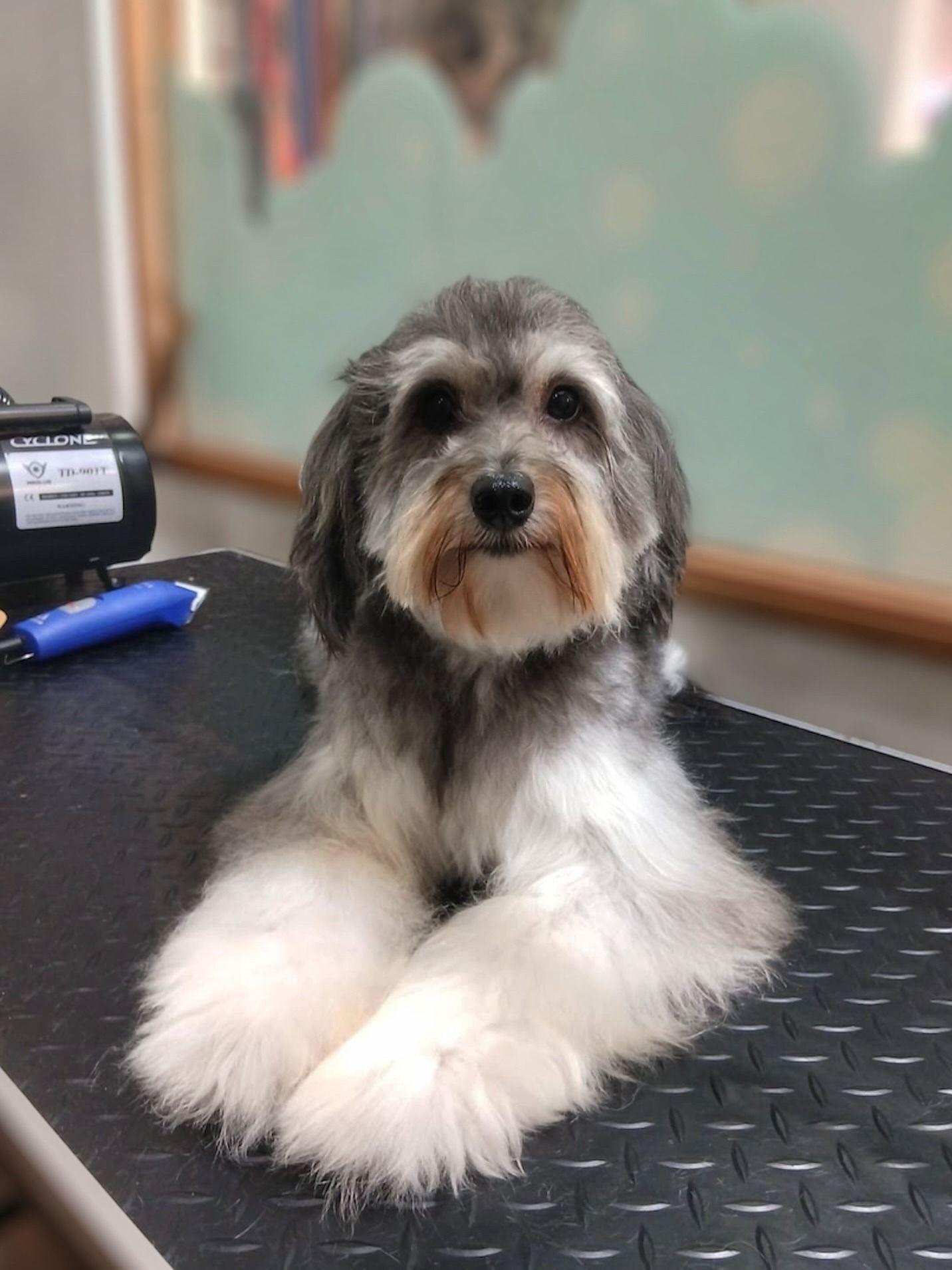 Hombre arrodillado abrazando a un perro en una playa; dunas al fondo.