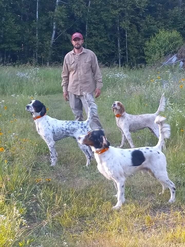 A man is standing next to three dogs in a field.