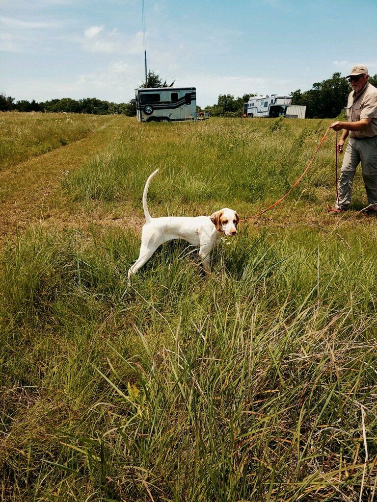 A man is standing next to a dog in a field.