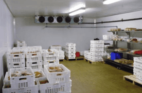 Static Cooling Systems