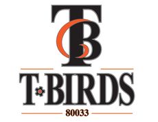 TBirds logo
