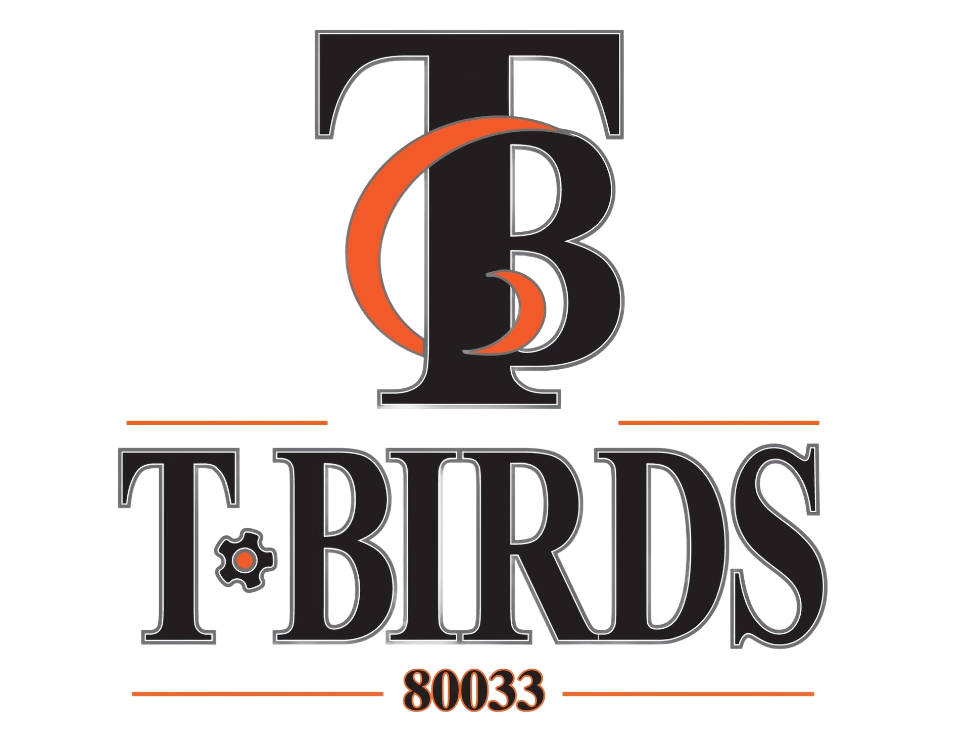 TBirds Logo