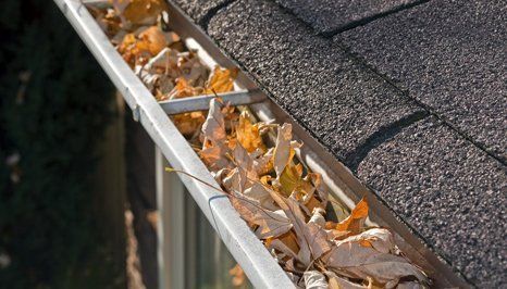 gutter cleaning