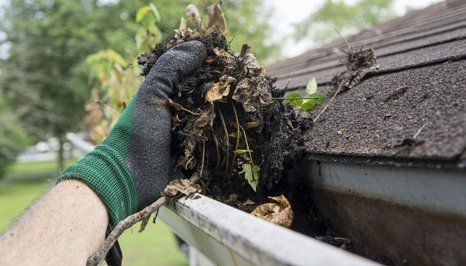 gutter cleaning