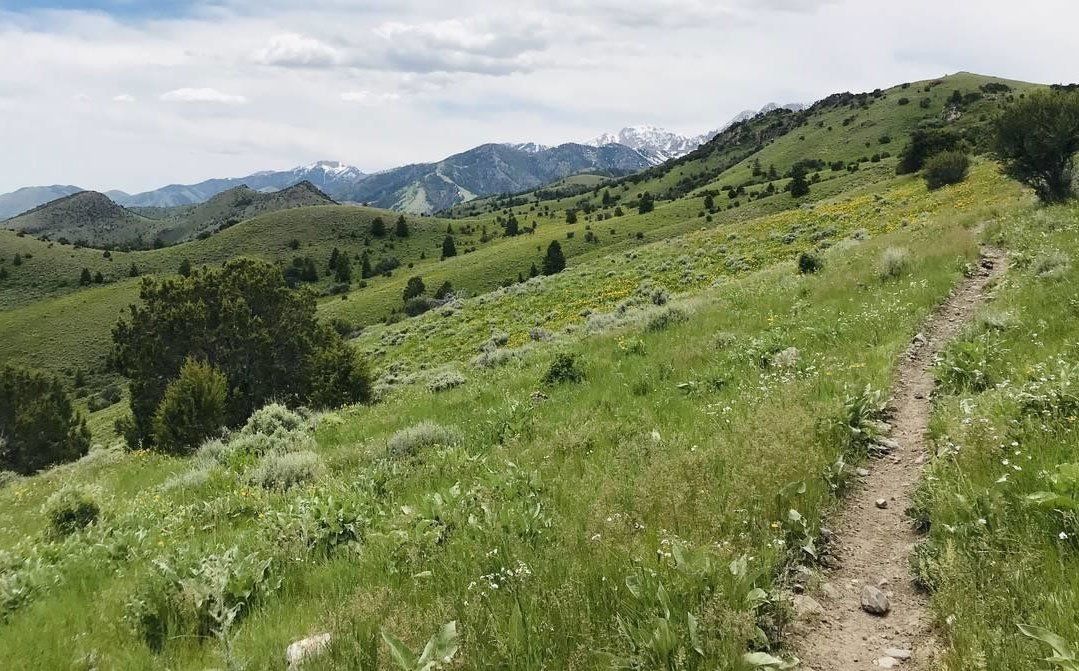 Motorcycle single track trail in Utah