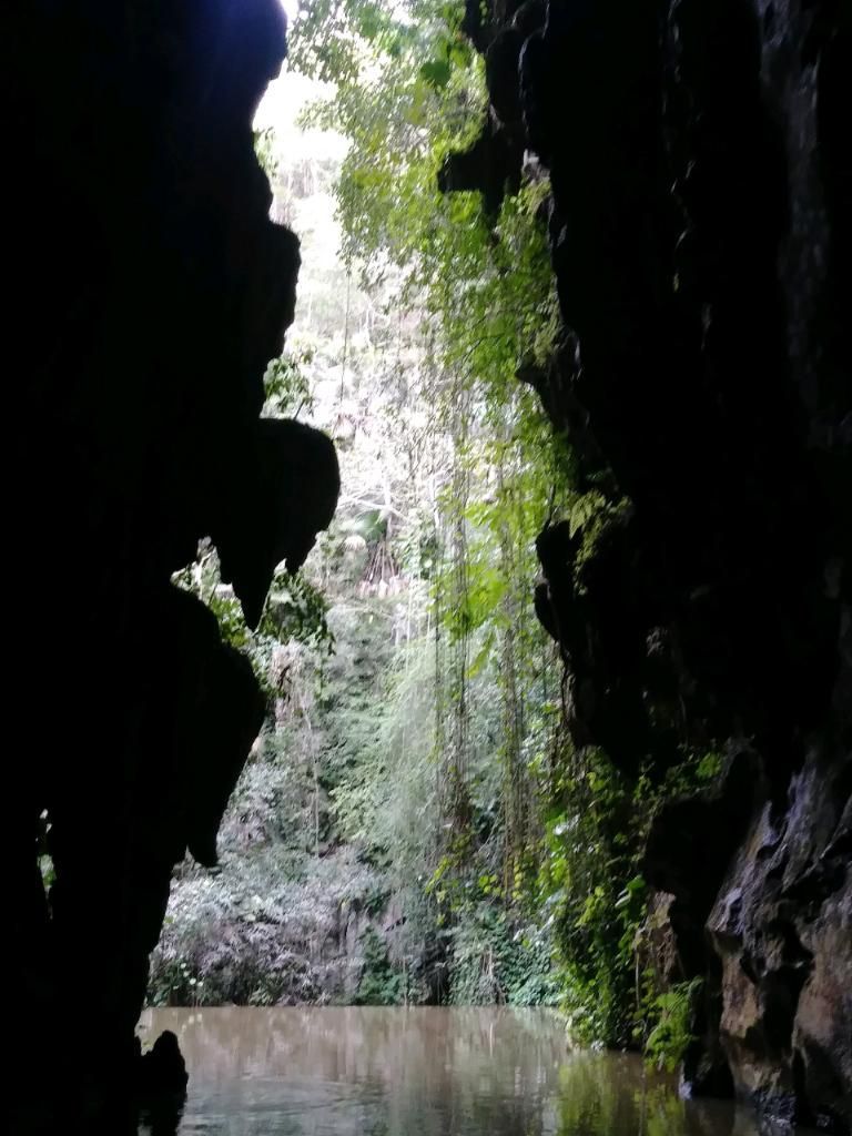 Dark cave opening onto a bright jungle scene with a calm waterway.