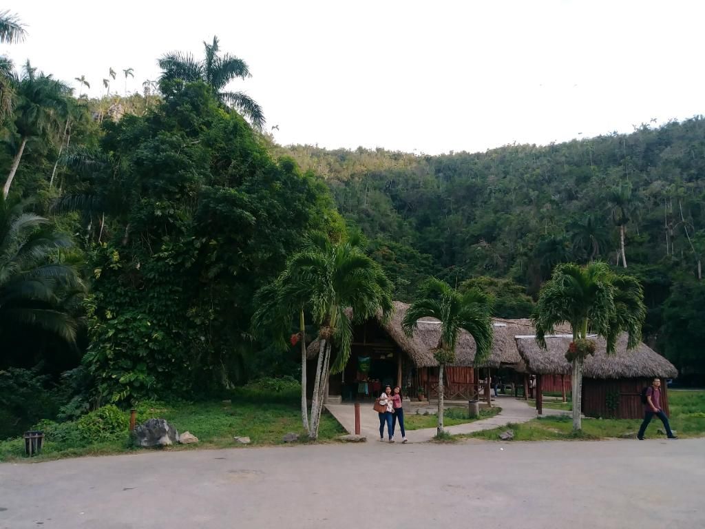 Wooden buildings with thatched roofs, palm trees, and lush green hillside. People walk near the entrance.