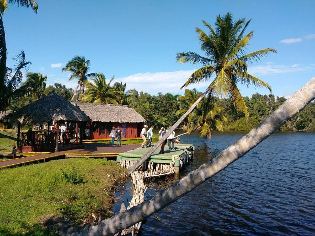 People on a dock by a lake, near a building with a thatched roof, palm trees, and clear sky.