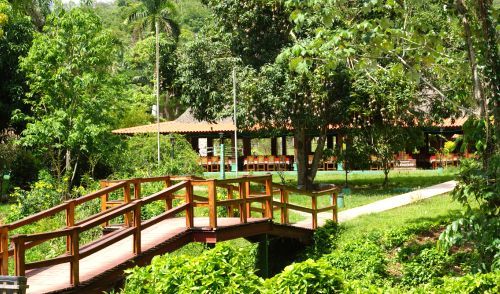 Wooden bridge over lush greenery leads to a shaded building with tables, surrounded by trees.