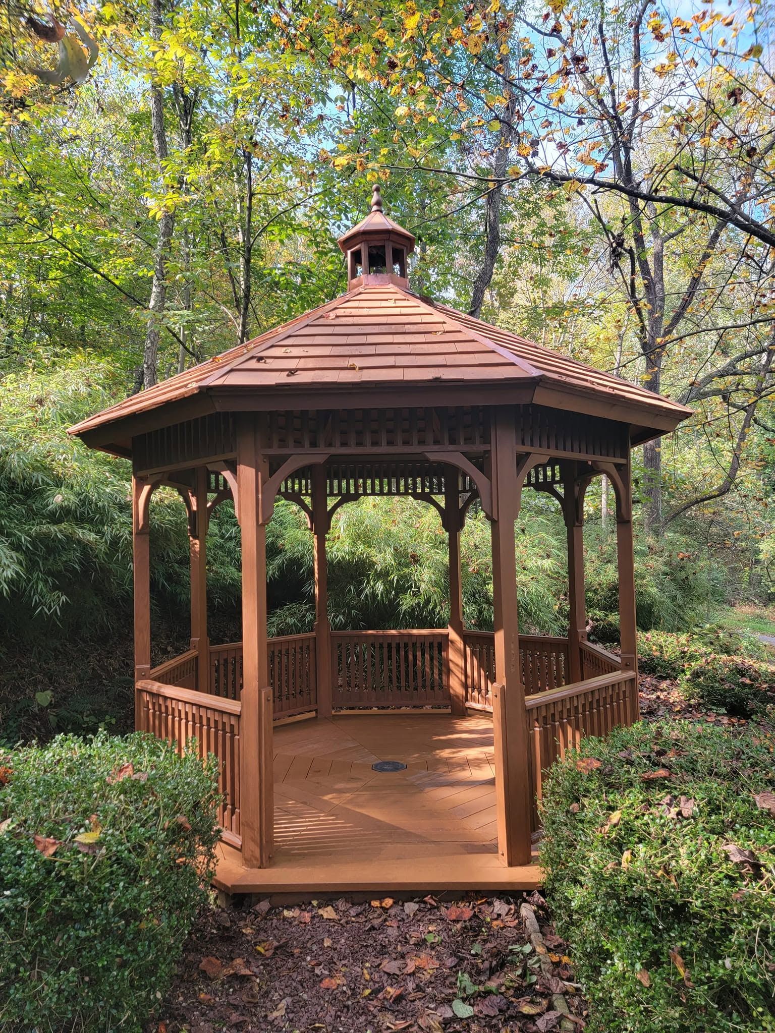 Wooden gazebo with a red shingled roof in a leafy garden, surrounded by trees and greenery.