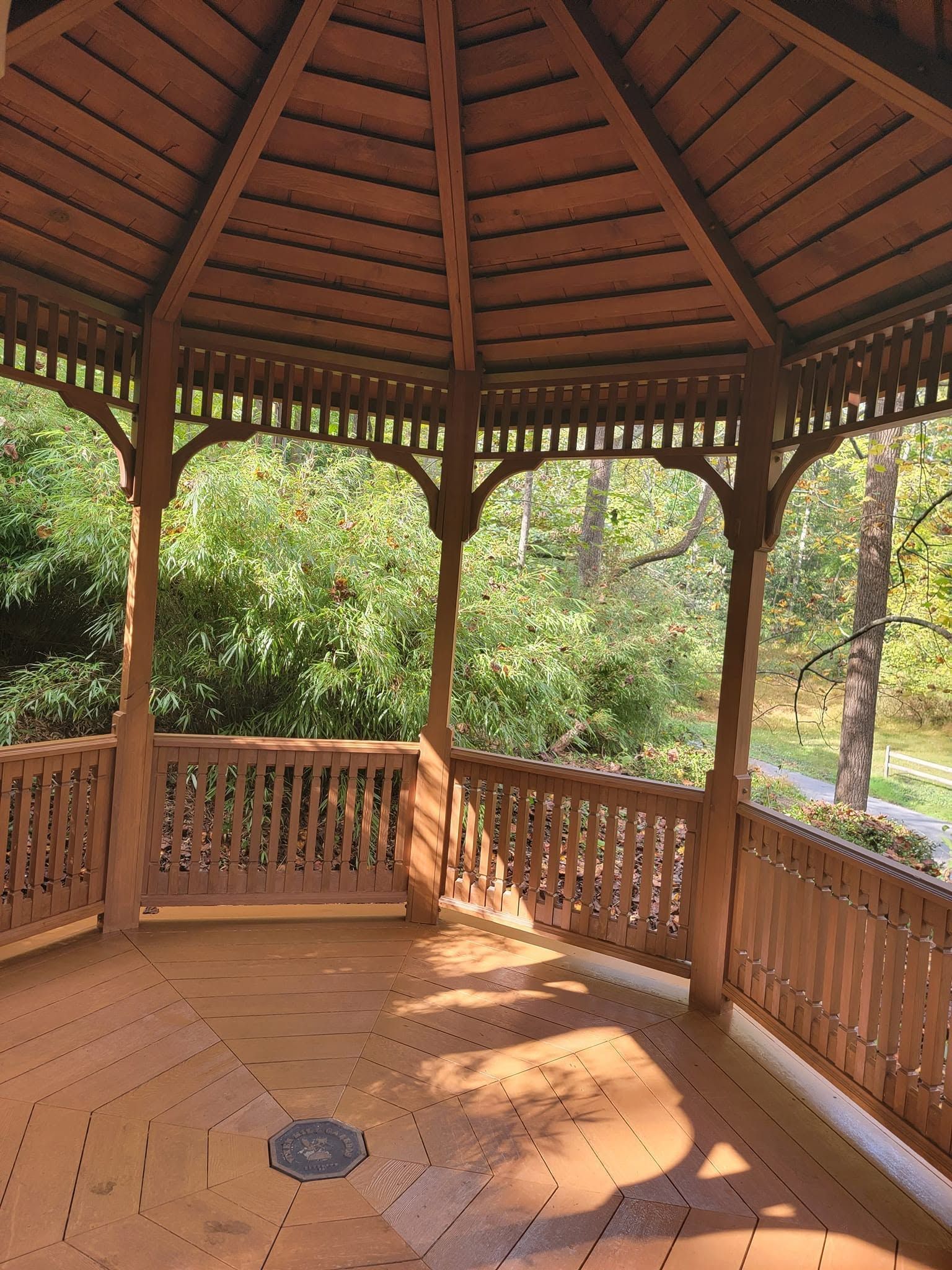 Wooden gazebo with railing and octagonal roof in a leafy park setting
