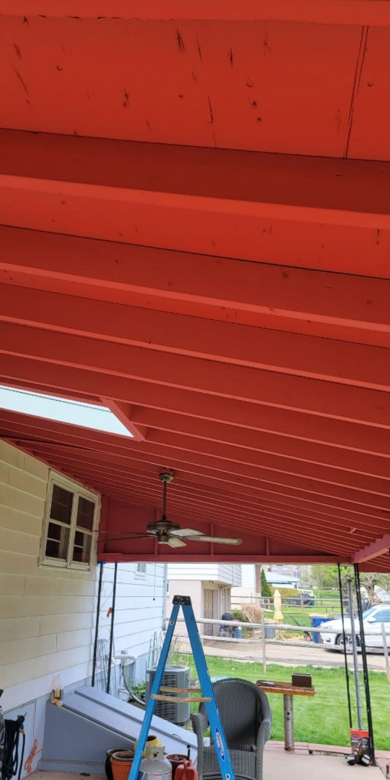 Red porch ceiling with a ceiling fan, fluorescent light, and a blue ladder below.
